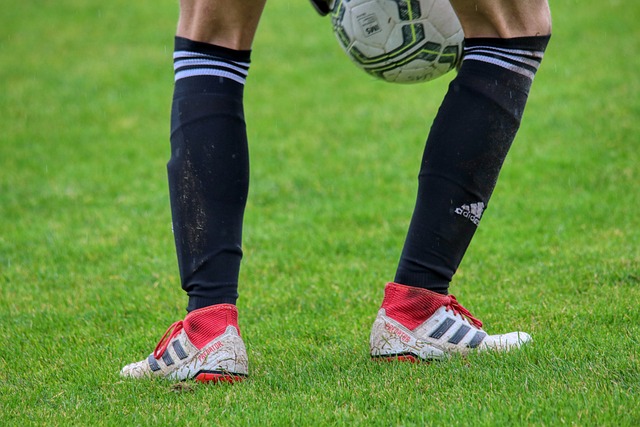 莫兰德：重回辽宁像回家，新赛季球队依然要保持冠军心态