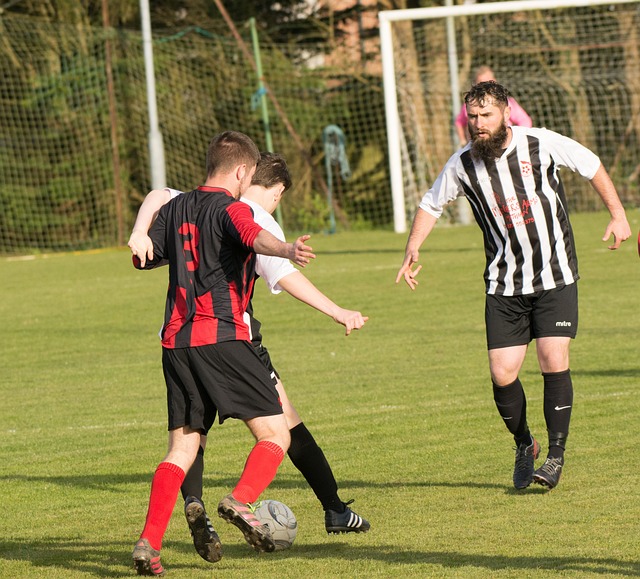 足协官方：全国青少年女子足球锦标赛U18组12月将在海口举行