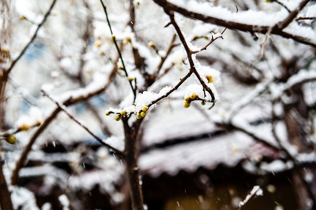 为榜样